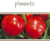 Pimento Peppers