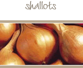 Shallots