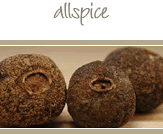 Allspice