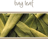 Bay Leaf