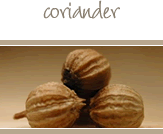 Coriander Seed