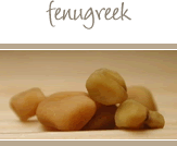 Fenugreek