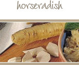 Horseradish 