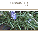 Rosemary