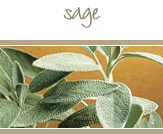 Sage