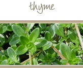 Thyme
