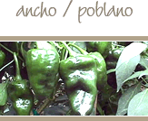 Ancho and Poblano Peppers