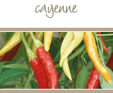 Cayenne Peppers