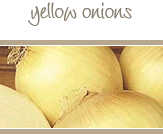 Yellow Onions
